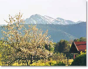 Blick auf Berge